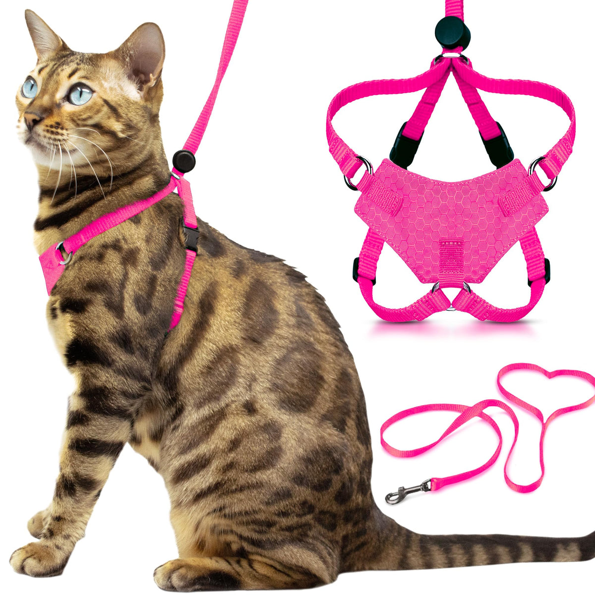 OutdoorBengal harnais packaging avant montrant l'ensemble et sécurité