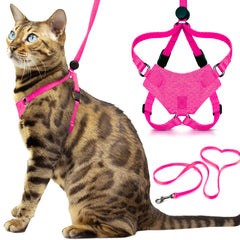 OutdoorBengal harnais packaging avant montrant l'ensemble et sécurité