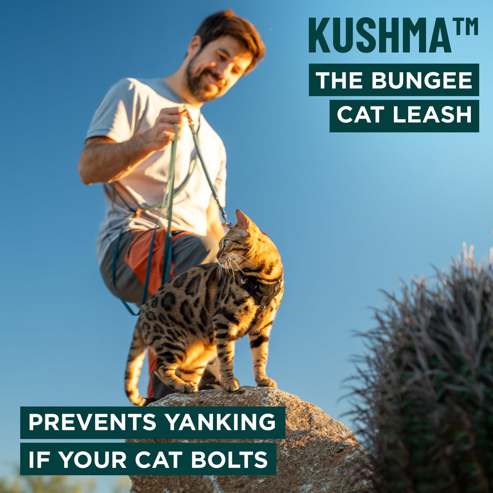 OutdoorBengal Kushma™ gros plan sur le bungee montrant absorption des à-coups