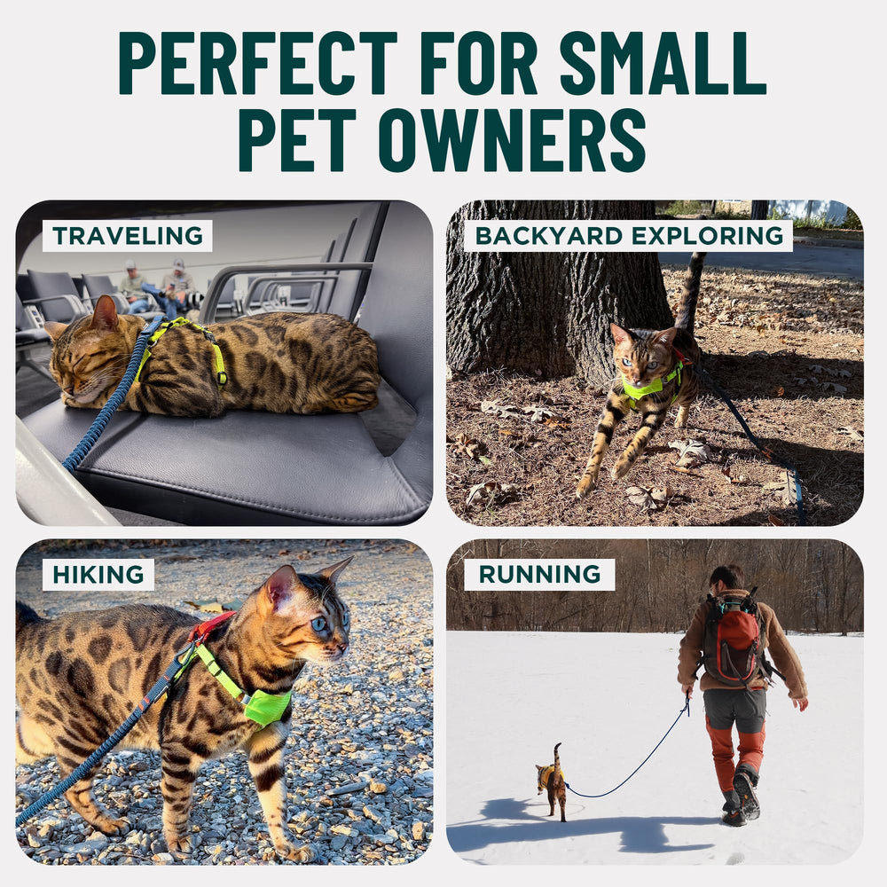 OutdoorBengal Kushma™ petit chien en randonnée montrant liberté contrôlée