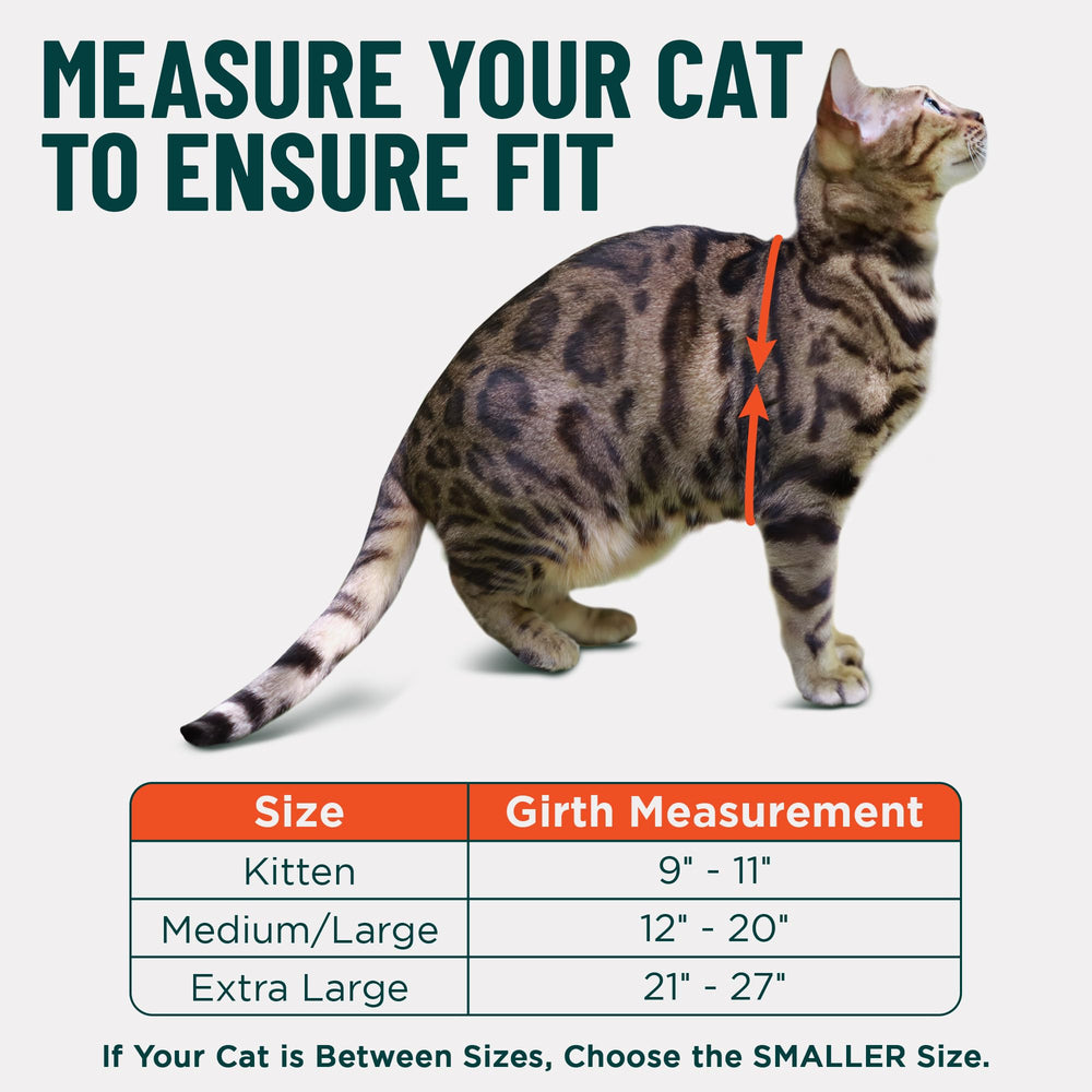 OutdoorBengal harnais et laisse ensemble pour promenades sécurisées