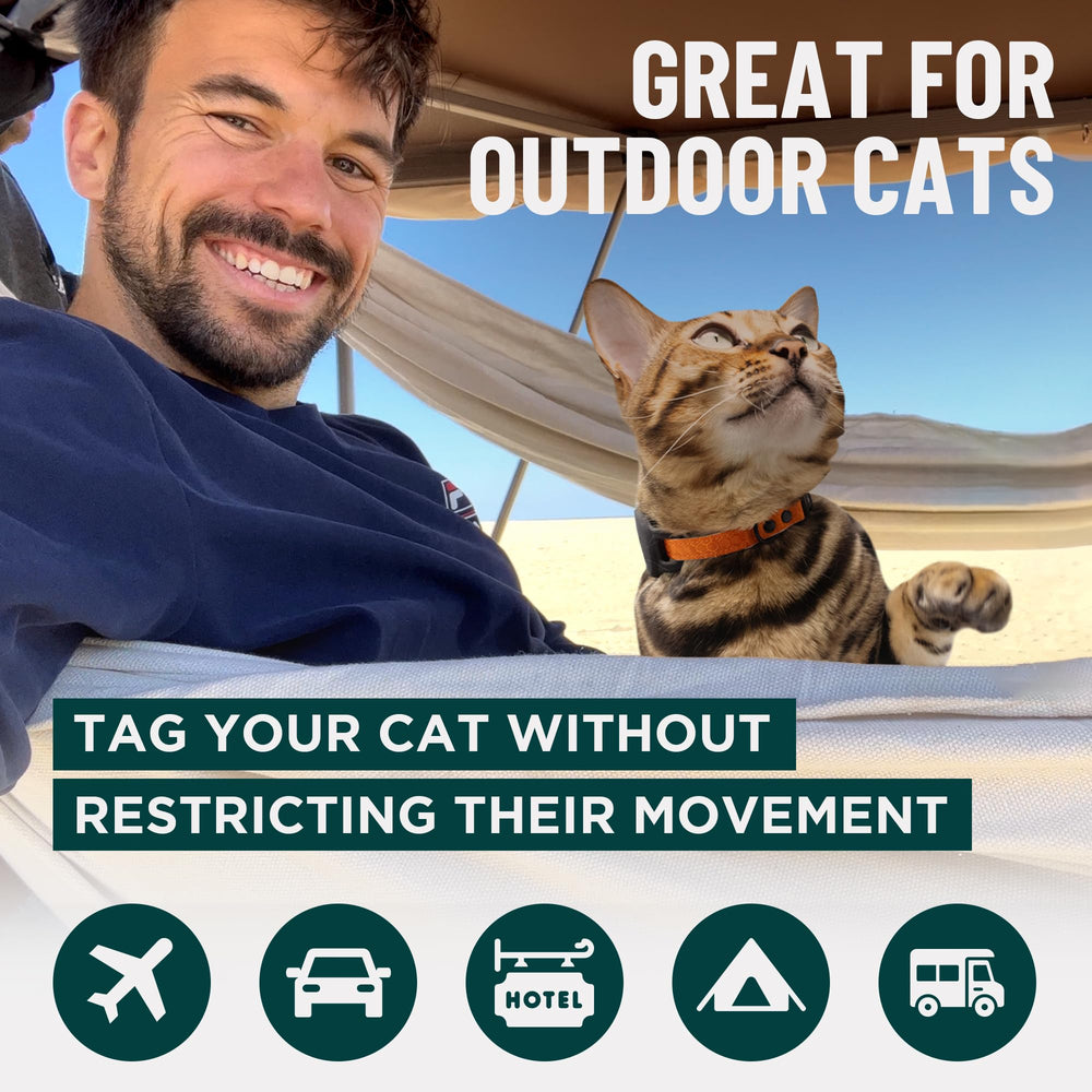 OutdoorBengal collier en situation lifestyle dans un jardin apaisant