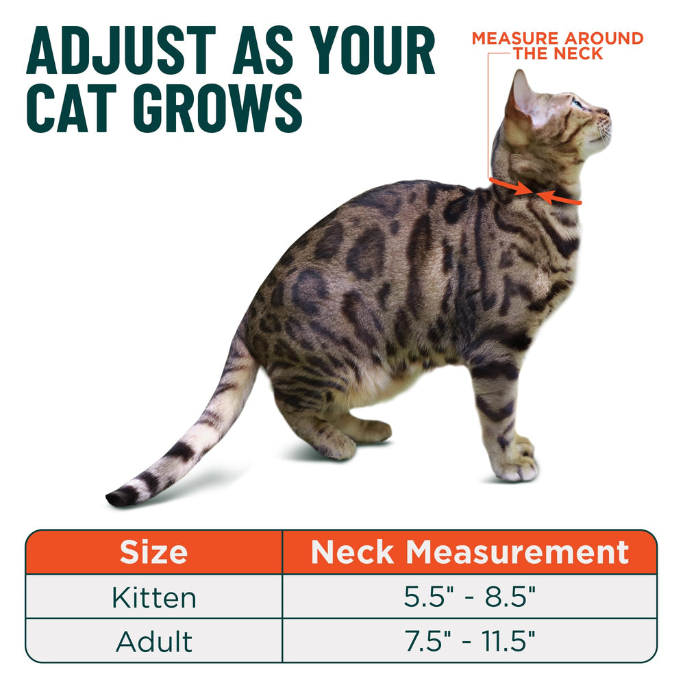 OutdoorBengal tissu tactique matière résistante pour usage extérieur