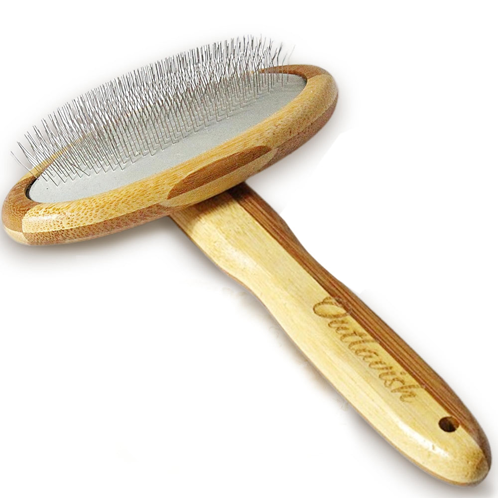 Outlavish brosse face avant montrant design robuste et prise en main confortable