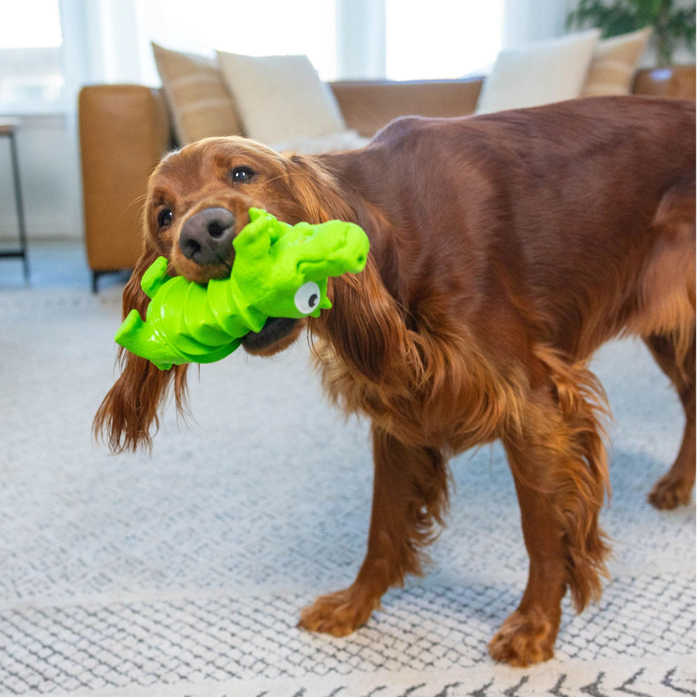 Nettoyage de l'Outward Hound alligator en latex pour hygiène facile après jeu