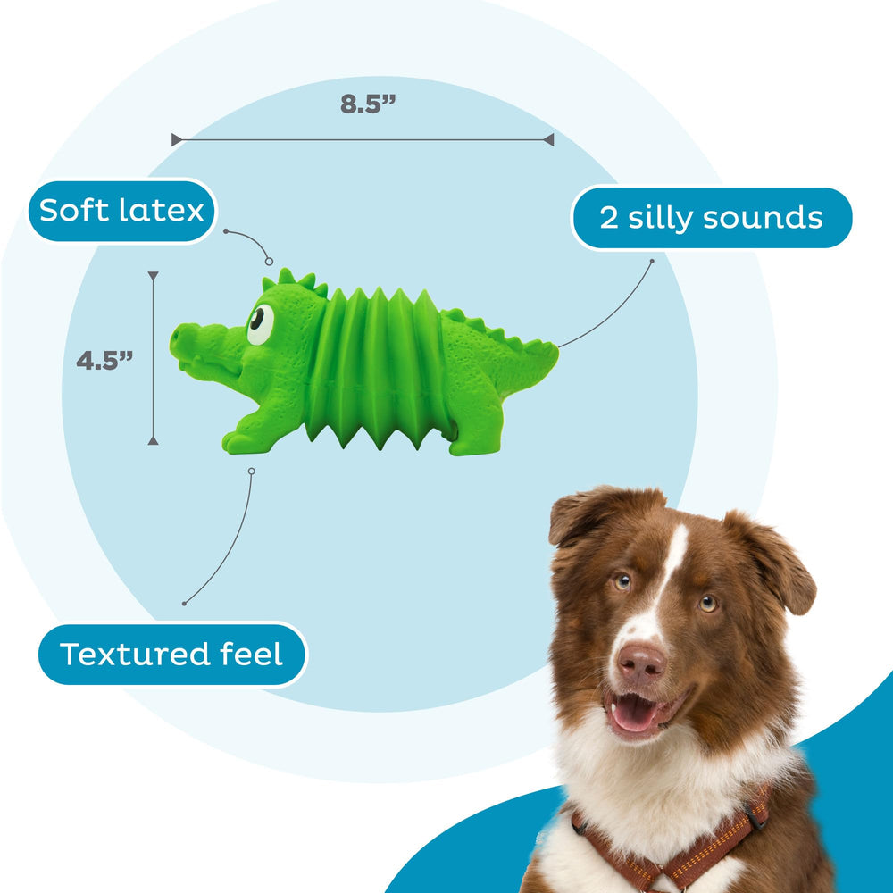 Chien tenant l'Outward Hound alligator montrant stimulation et amusement immédiat