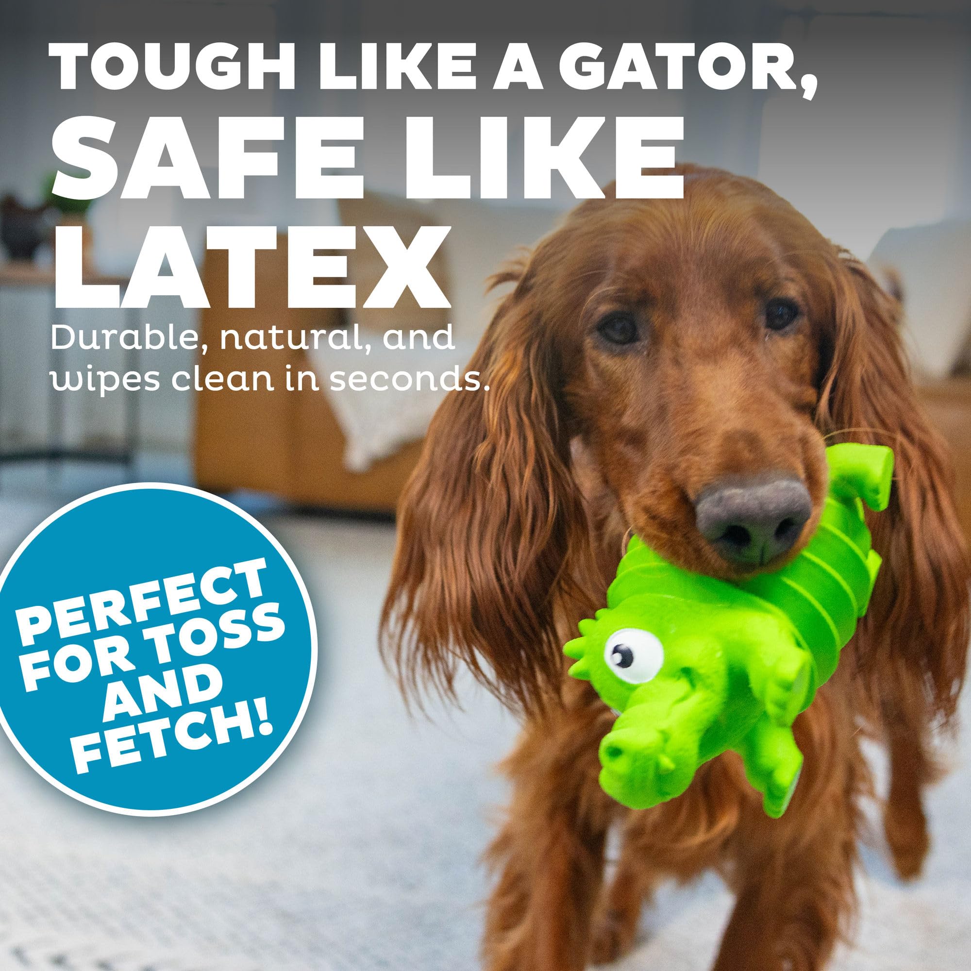 Outward Hound alligator à côté d'une main pour comparaison de taille pratique
