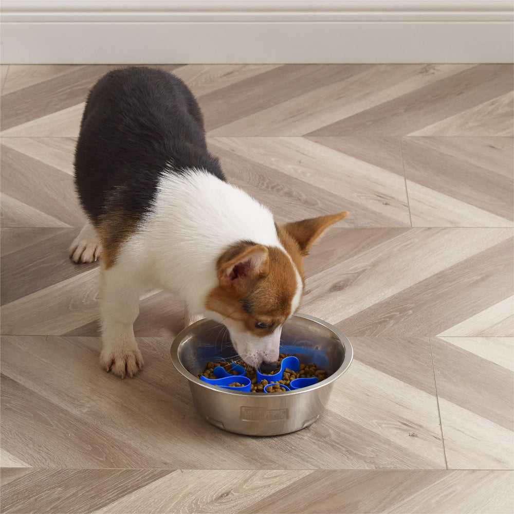 Outward Hound base antidérapante détail pour stabilité et moins de glissements
