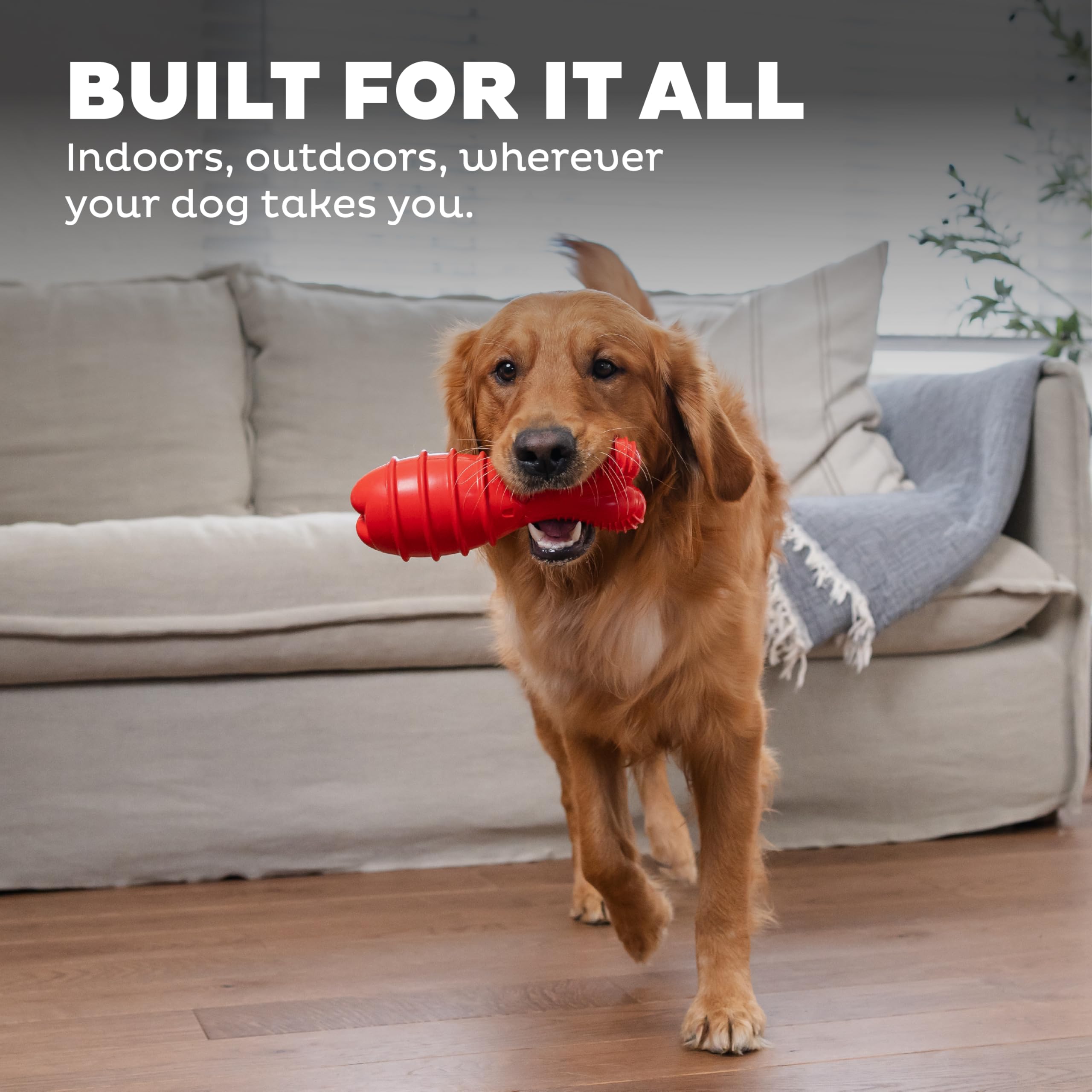 Outward Hound couleur rouge vive sur herbe pour repérage facile