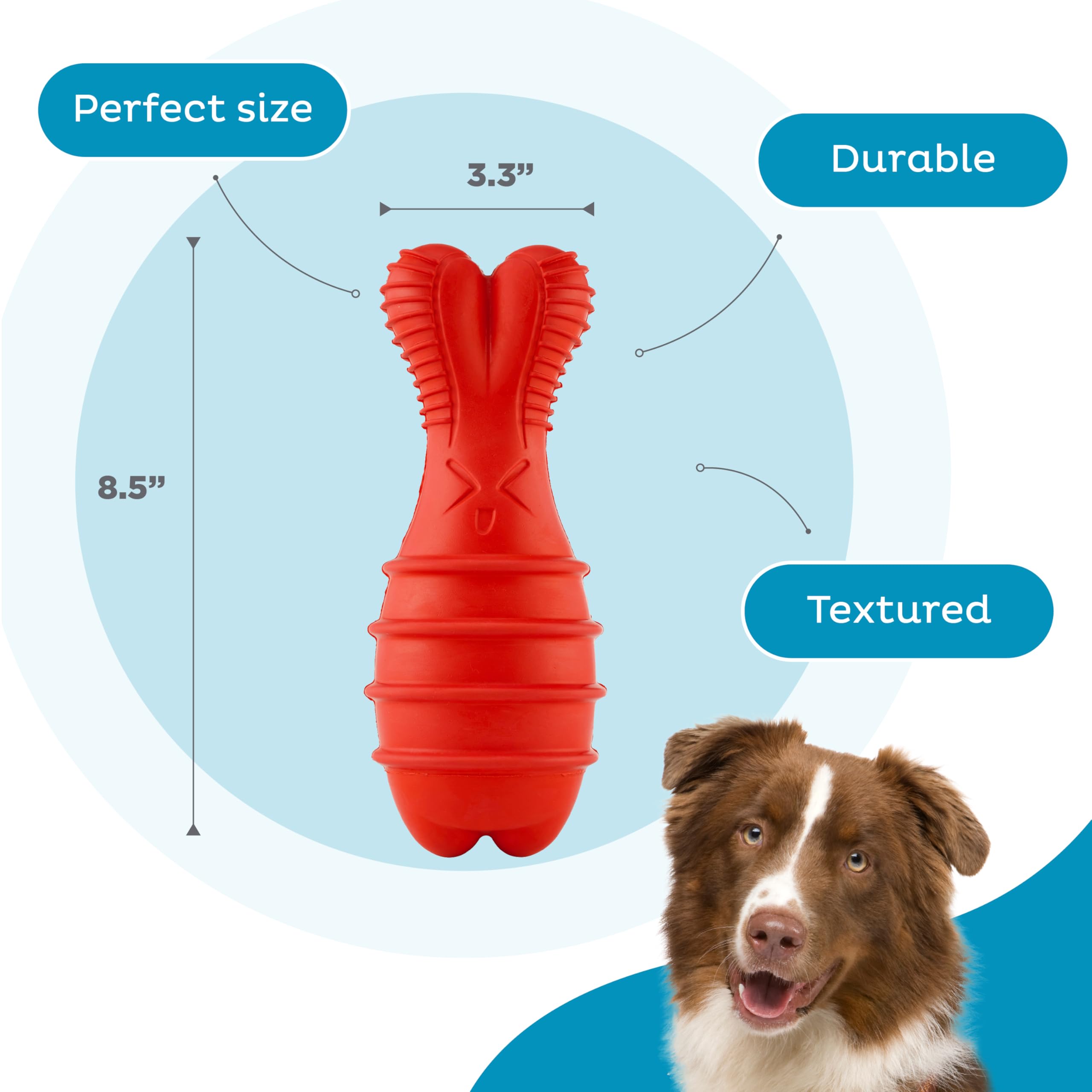 Outward Hound comparaison d’échelle avec une main montrant taille pratique