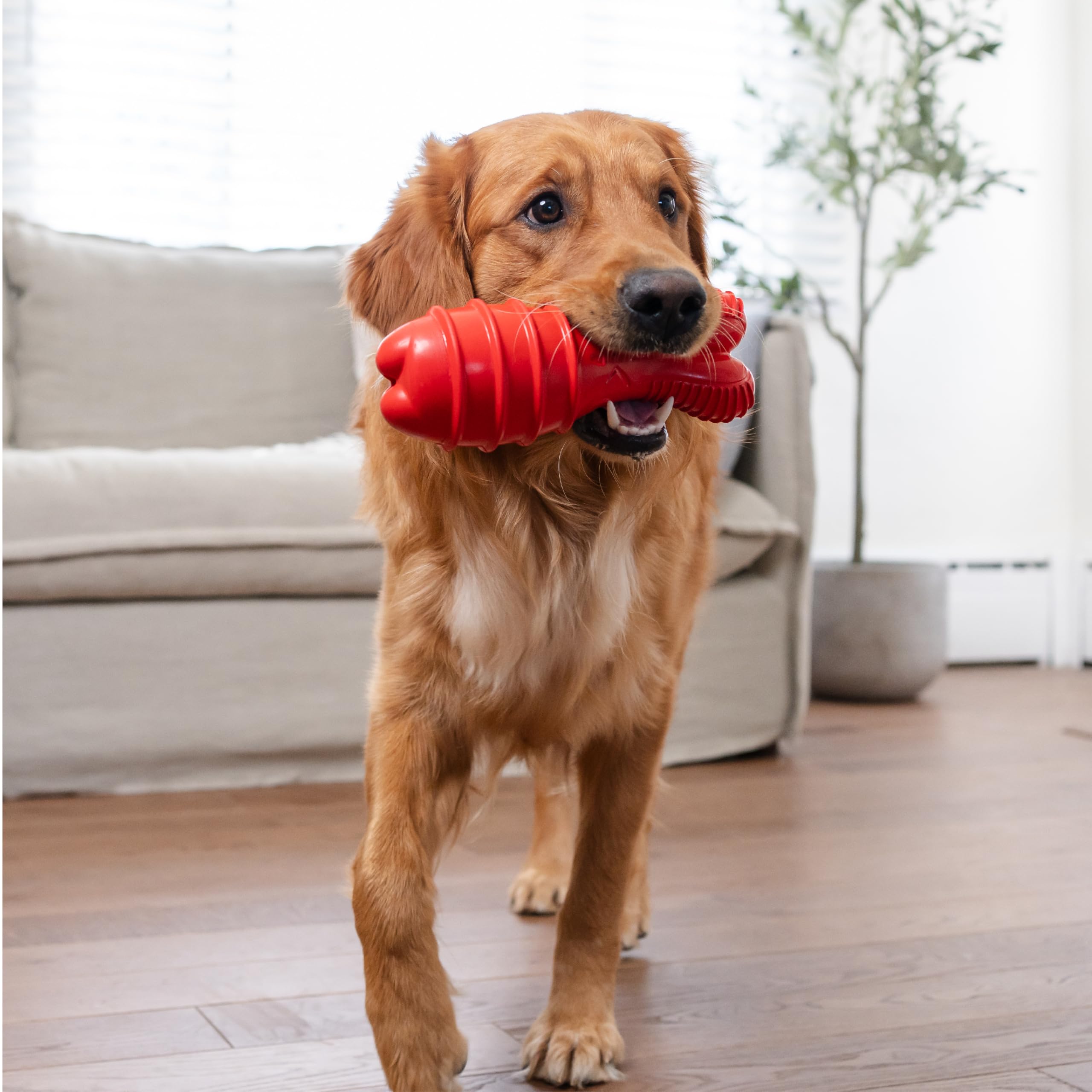 Outward Hound jouet utilisé à l’intérieur par un chiot pour amusement