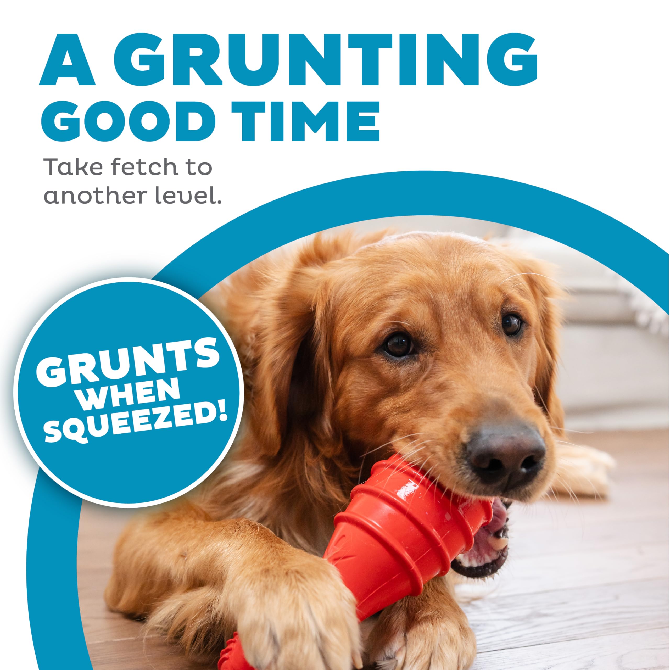 Outward Hound jouet en action lors d’un lancer extérieur stimulant exercice