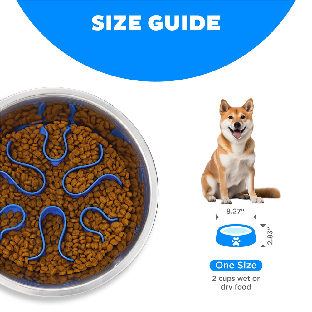 Outward Hound comparaison taille avec main pour évaluer capacité repas