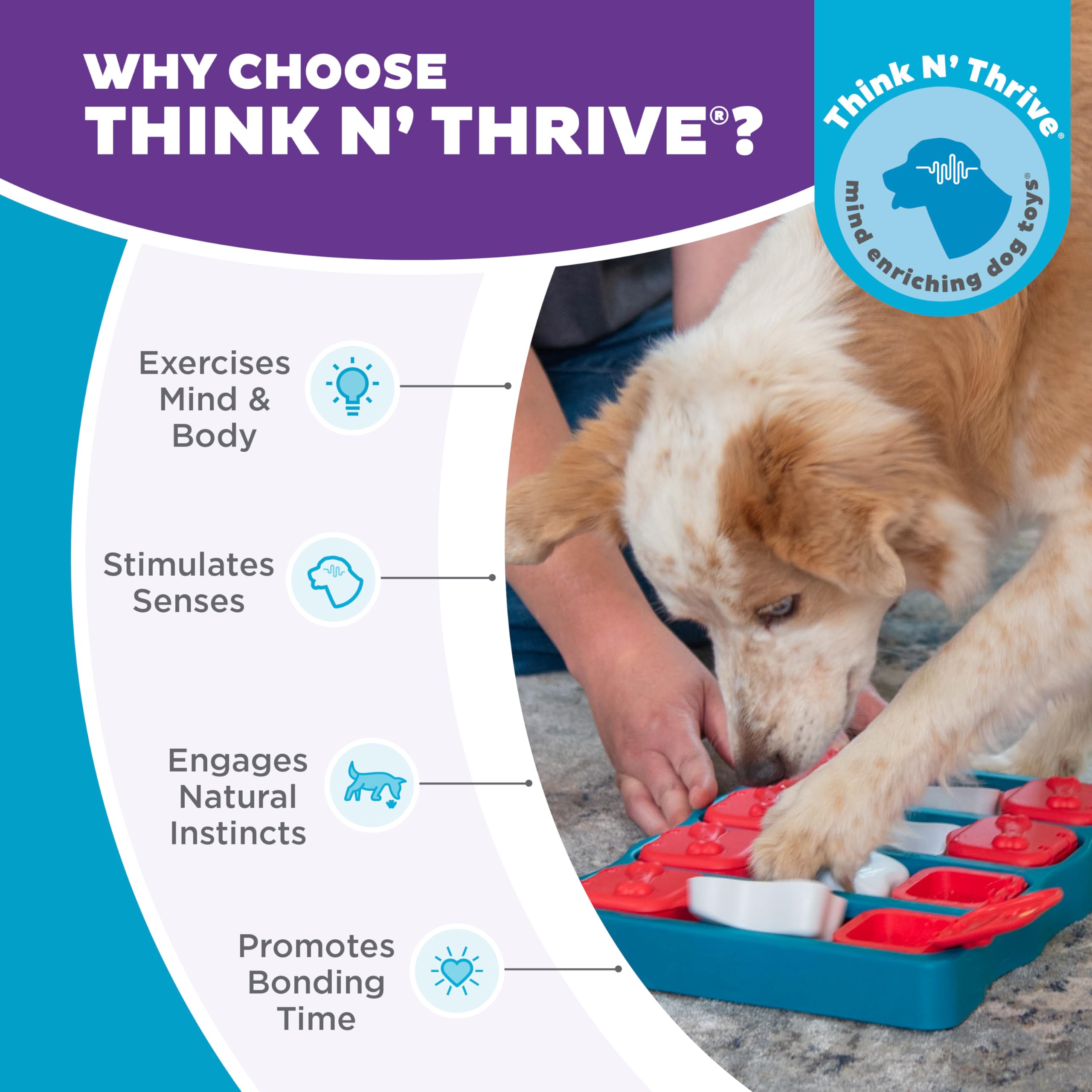 Outward Hound comparaison taille du Dog Brick avec une main pour l'échelle pratique