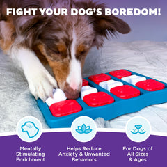 Outward Hound vue de dessus du Dog Brick révélant plusieurs compartiments pratiques