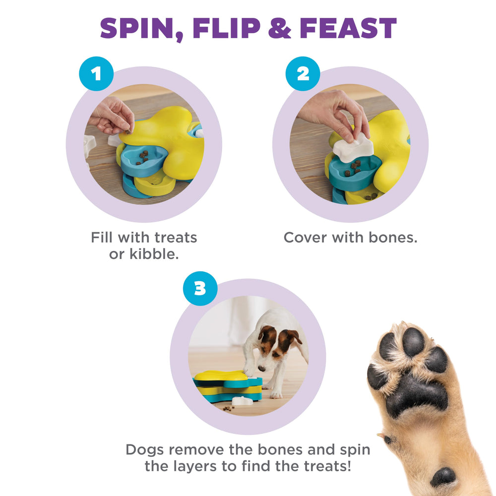 Outward Hound chien en action faisant tourner étages pour découvrir friandises