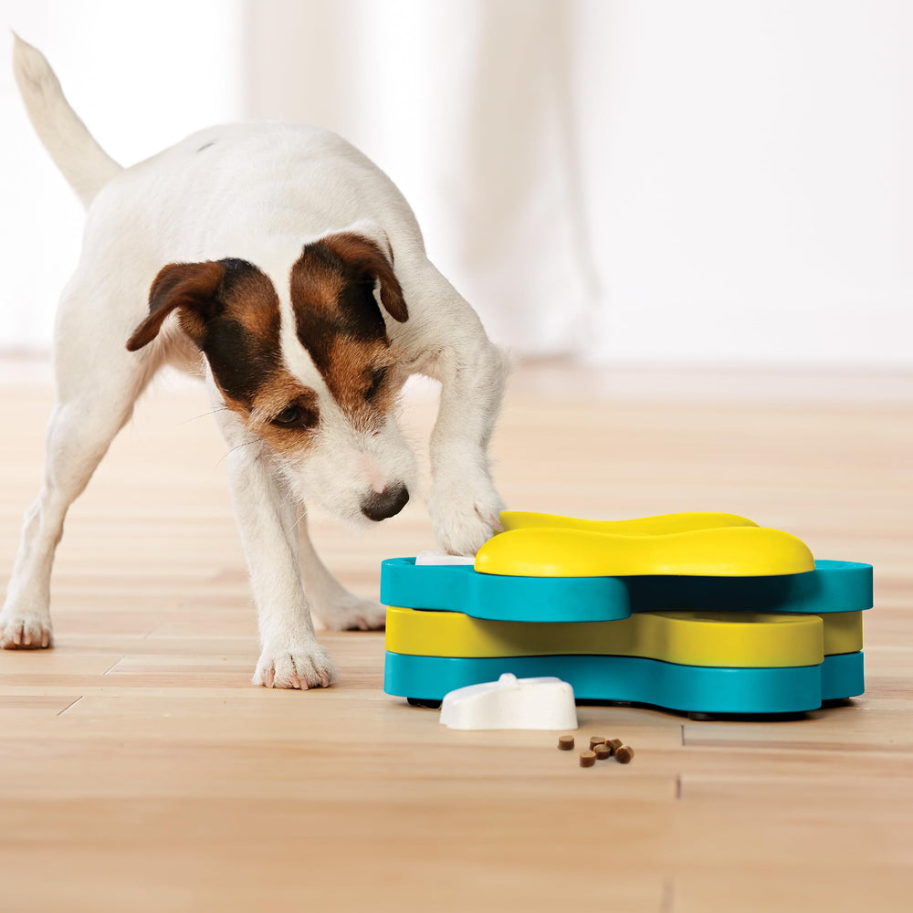 Outward Hound dans un salon montrant usage quotidien et occupation canine