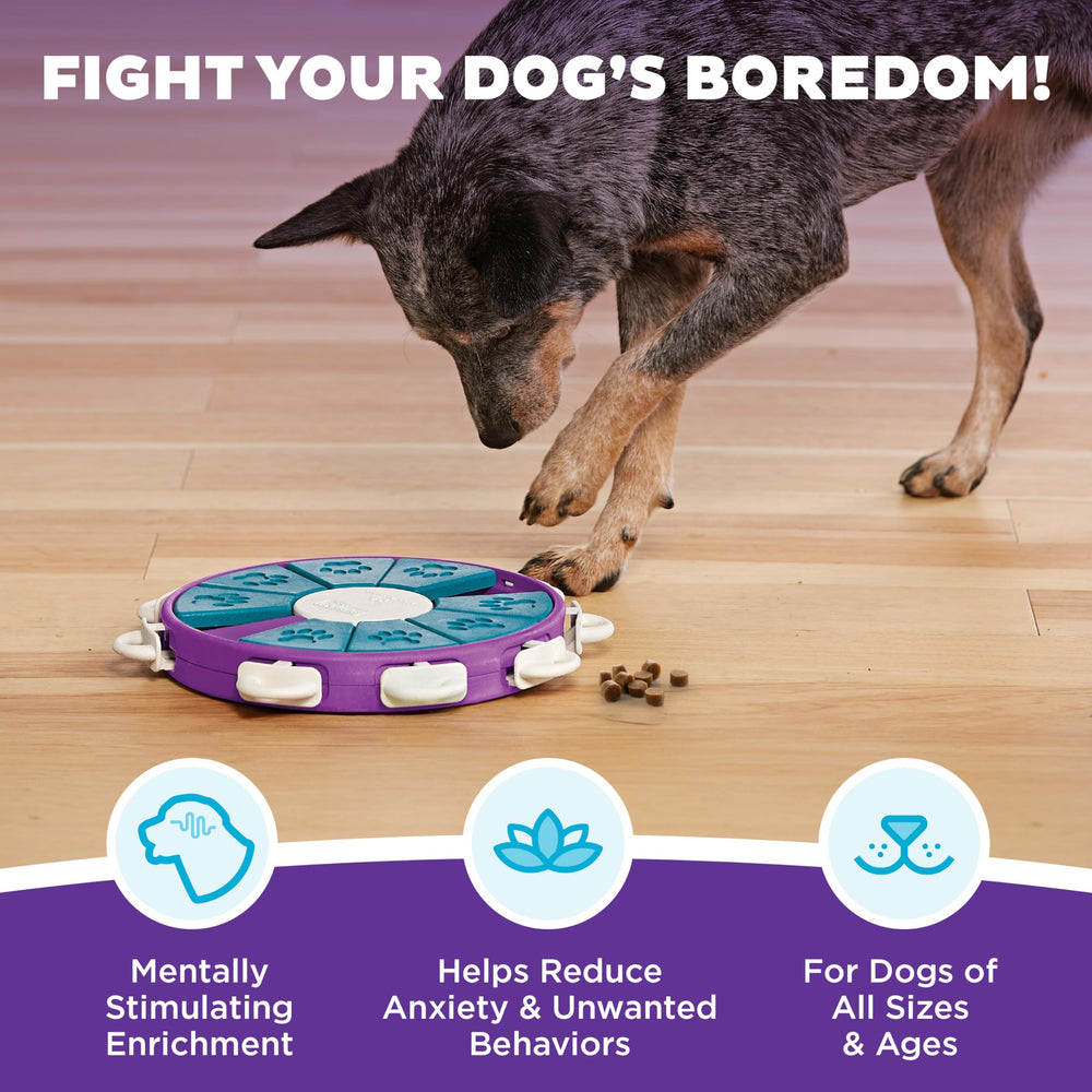 Outward Hound perspective plongeante du Dog Twister pour évaluer zones de jeu
