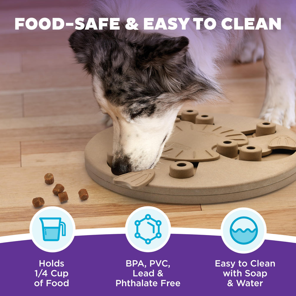 Outward Hound contenant environ 1/4 tasse de croquettes pour ralentir la prise alimentaire