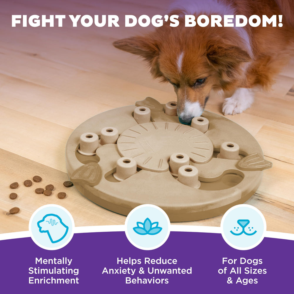 Outward Hound gros plan sur flipper montrant mécanisme et stimulation interactive