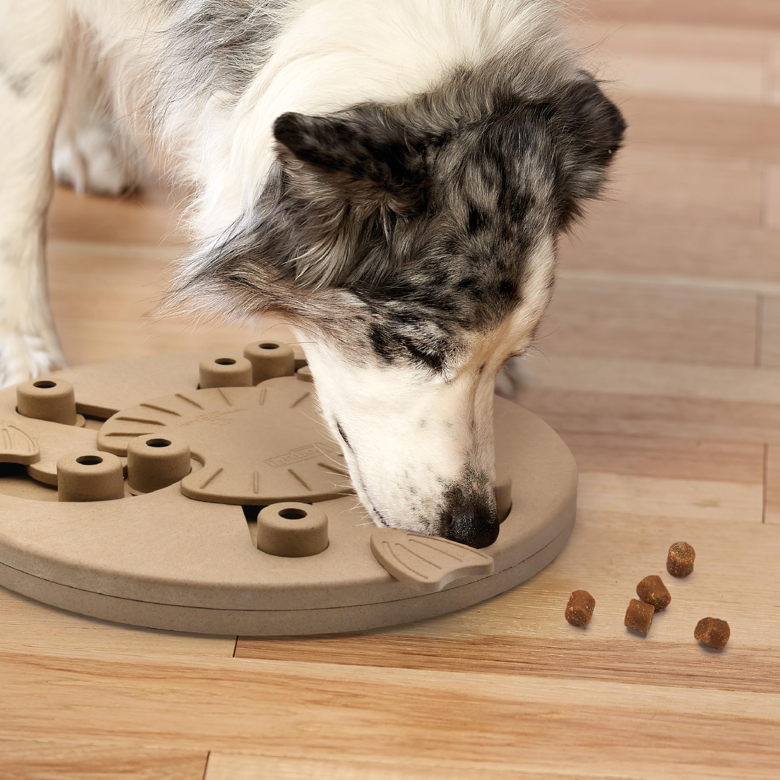 Outward Hound mise à l'échelle avec une main pour visualiser taille et ergonomie