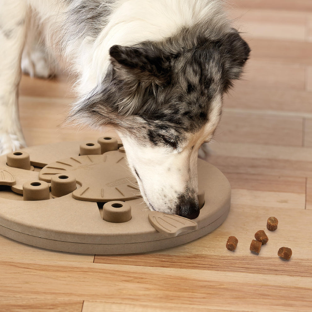 Outward Hound mise à l'échelle avec une main pour visualiser taille et ergonomie