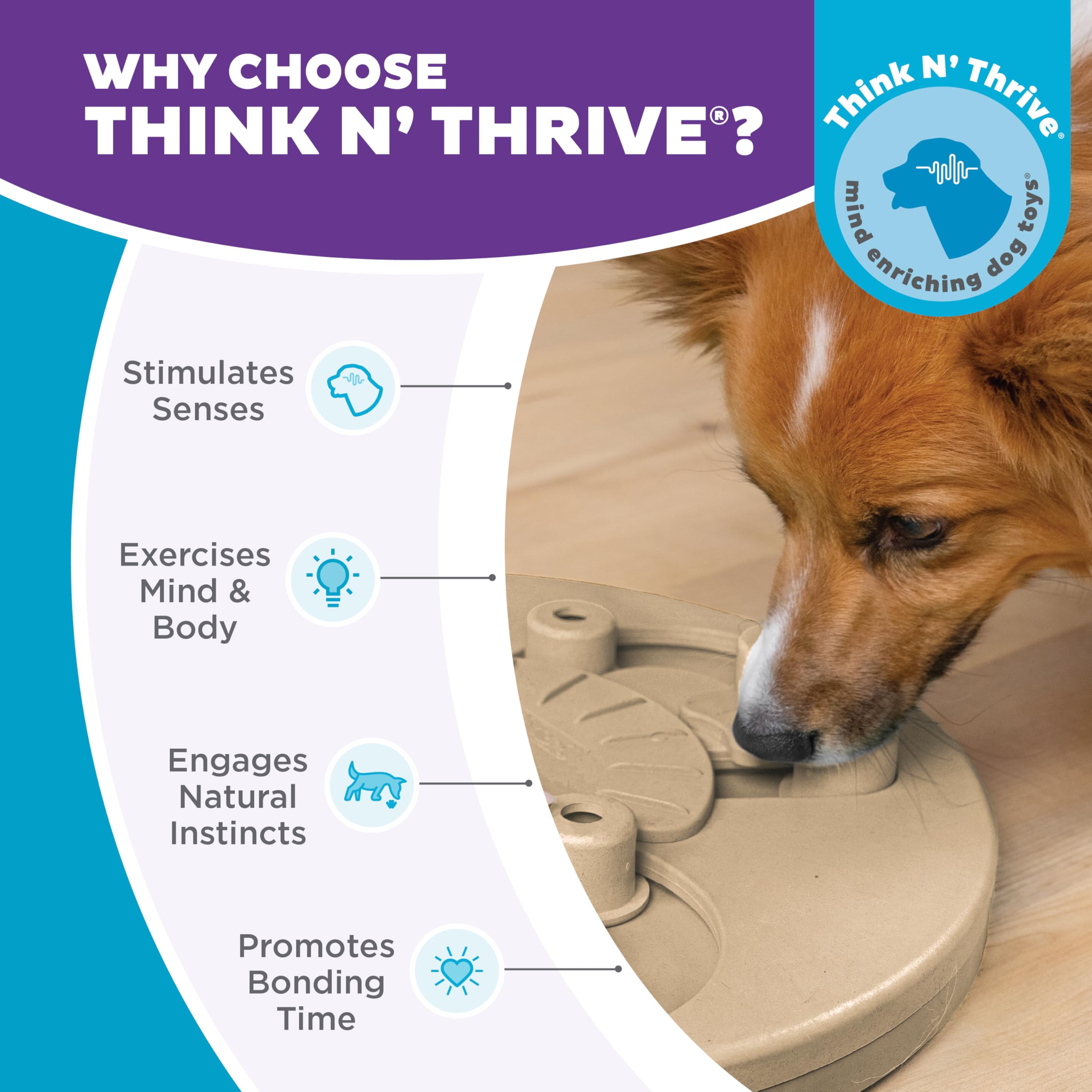 Outward Hound texture et finition sans BPA assurant sécurité et nettoyage facile