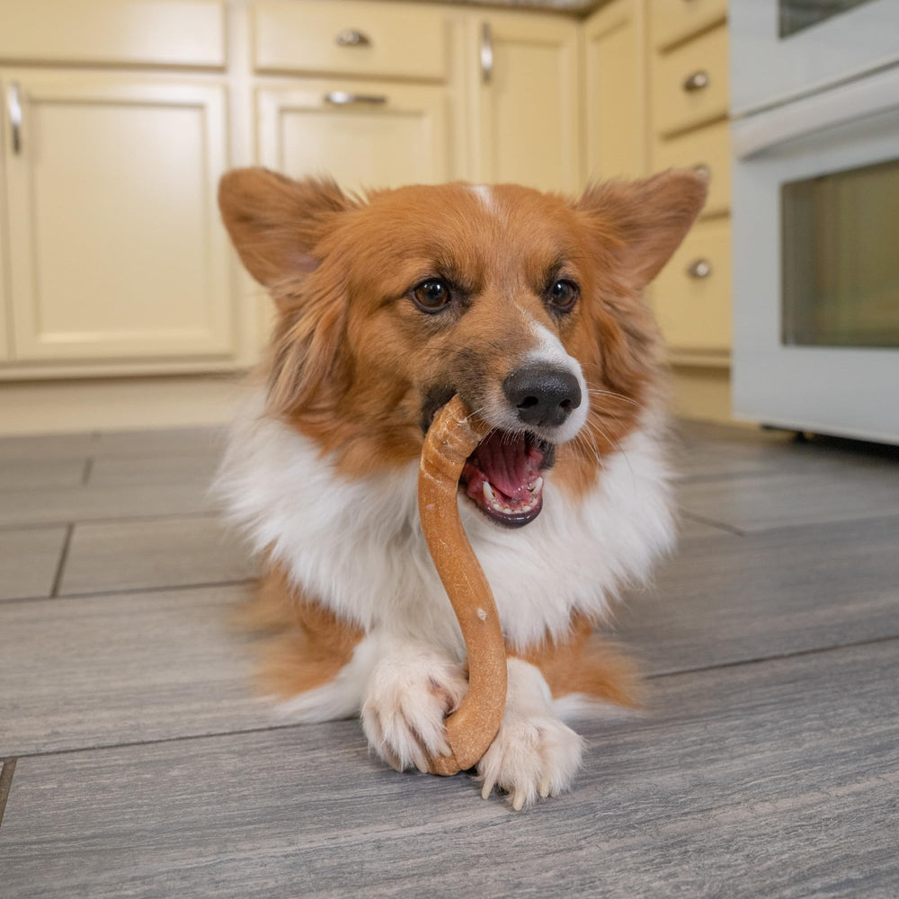 Outward Hound Petstages emballage et étiquette produit, informations sécurité