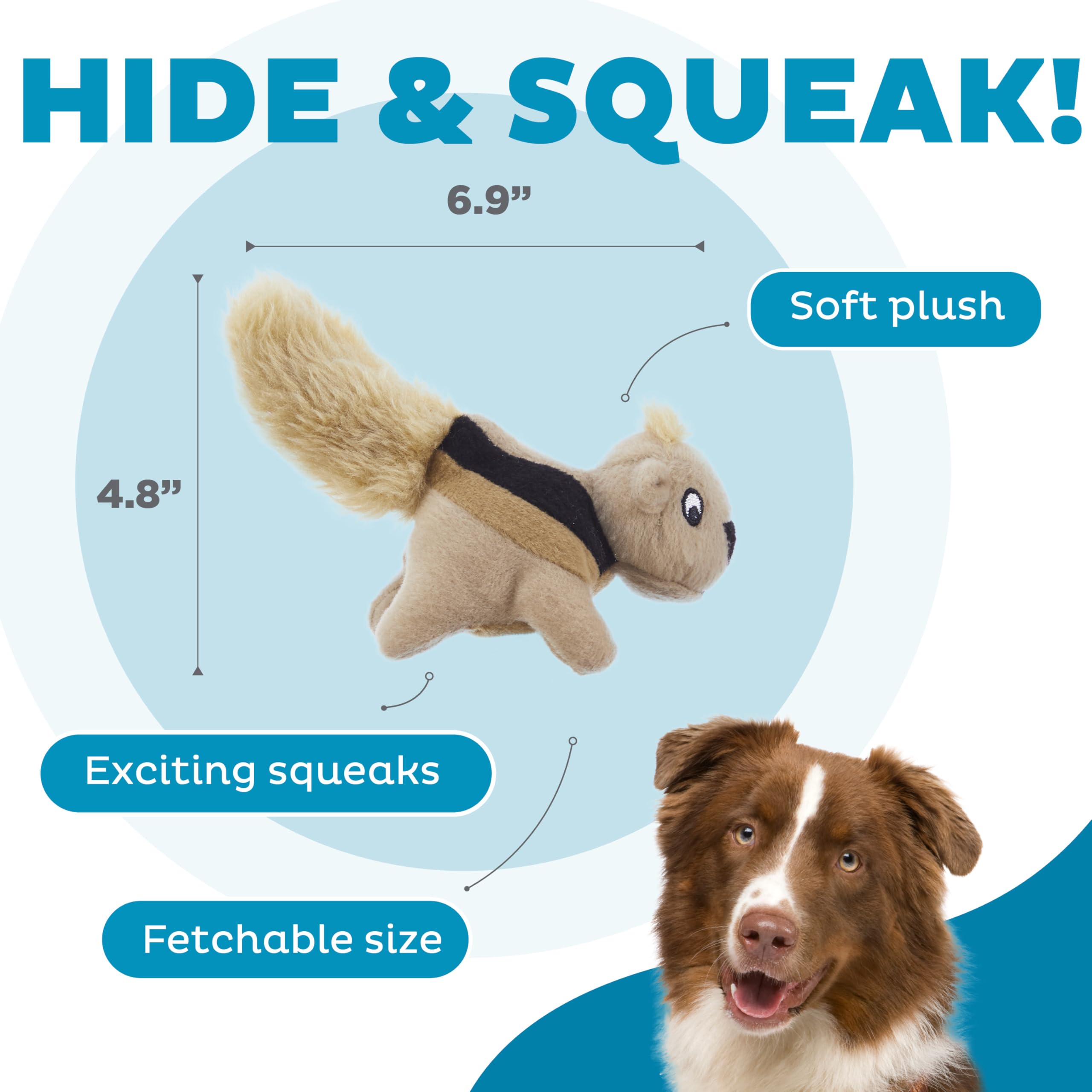 Outward Hound écureuils insérés dans Hide-A-Squirrel pour jeu interactif