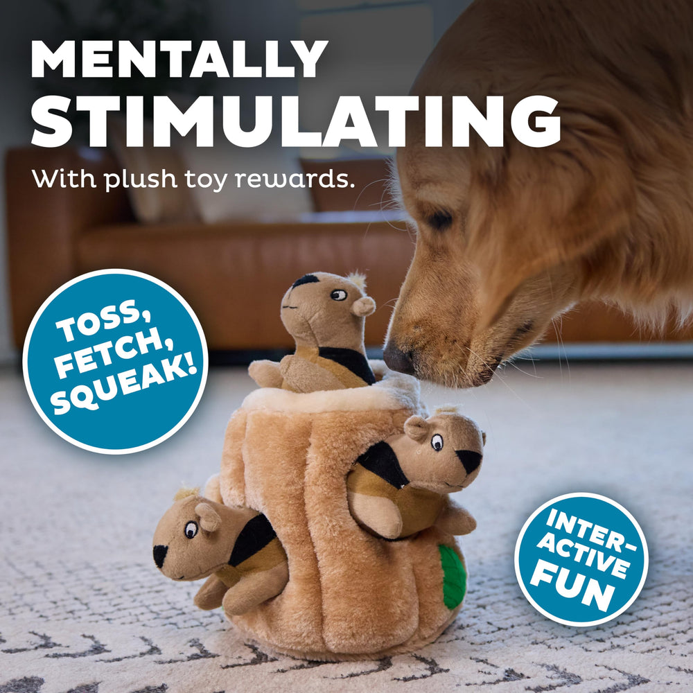 Outward Hound chien jouant au cache-cache pour exercice mental