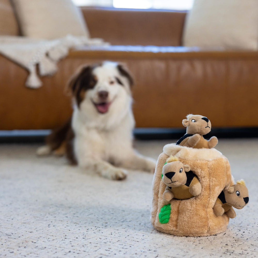 Outward Hound étiquette du produit détaillée pour instructions et sécurité