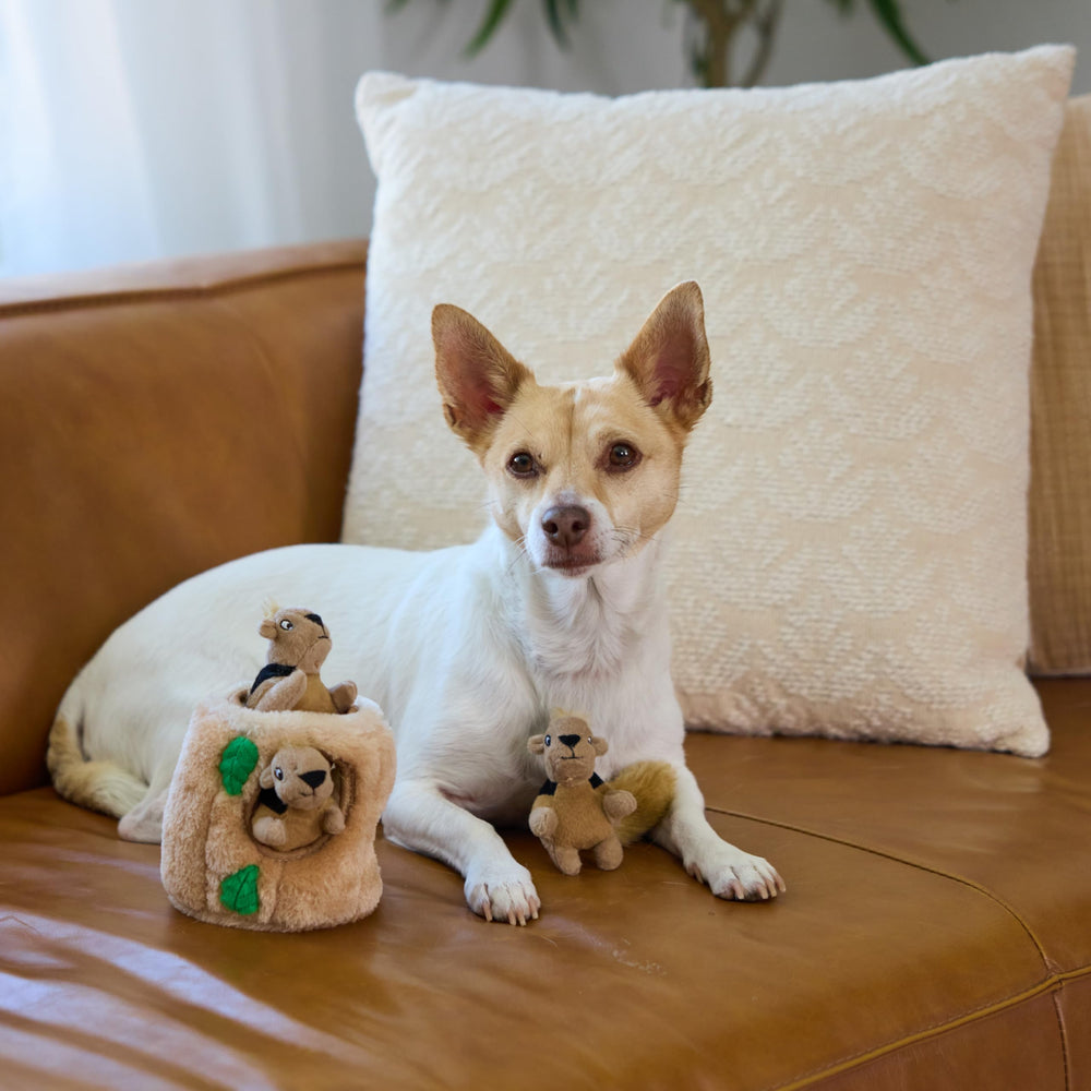 Outward Hound étiquette produit détail sécurité et instructions