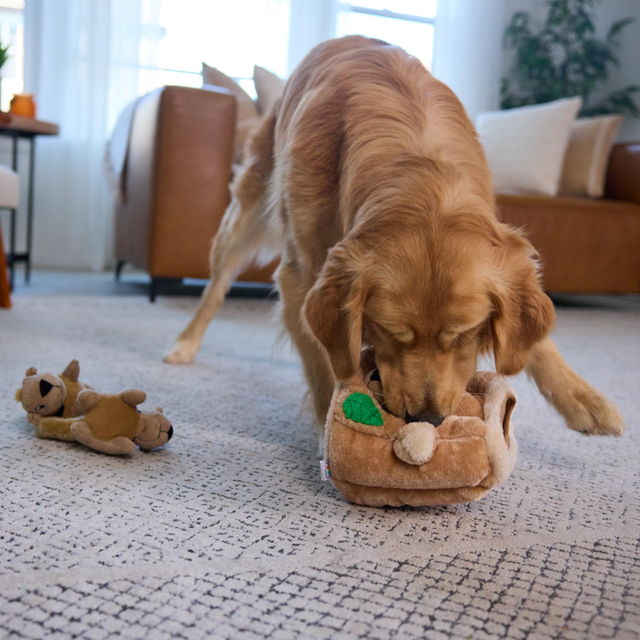 Outward Hound étiquette produit informations sécurité et taille