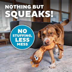Outward Hound chien jouant au fetch met en valeur engagement et plaisir