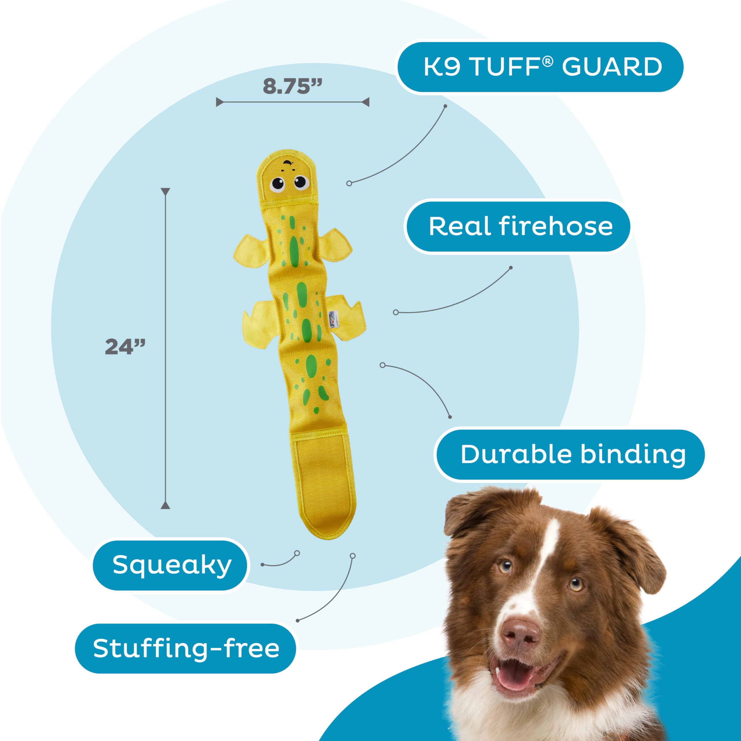 Outward Hound couineurs visibles illustrant stimulation sonore et jeu
