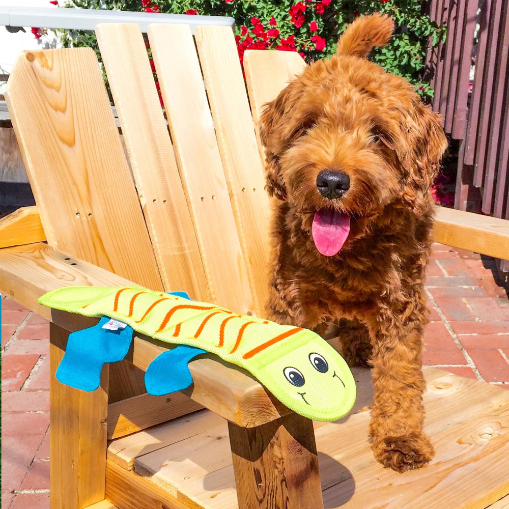 Outward Hound comparaison taille devant chien pour évaluer convenance