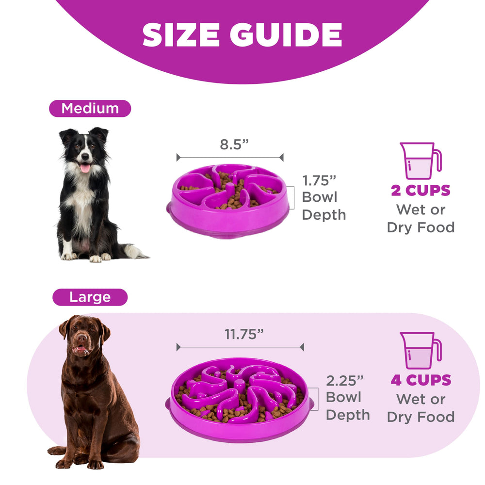 Outward Hound comparaison montrant 4 tasses de capacité totale