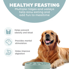 Outward Hound zoom sur rainures et sillons, facilite le défi alimentaire