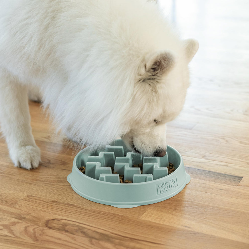 Outward Hound étiquette et matériau sûr, sans BPA ni phtalates