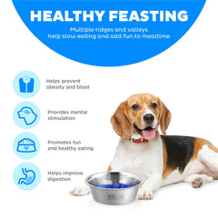 Outward Hound gamelle en usage avec chien mangeant plus lentement