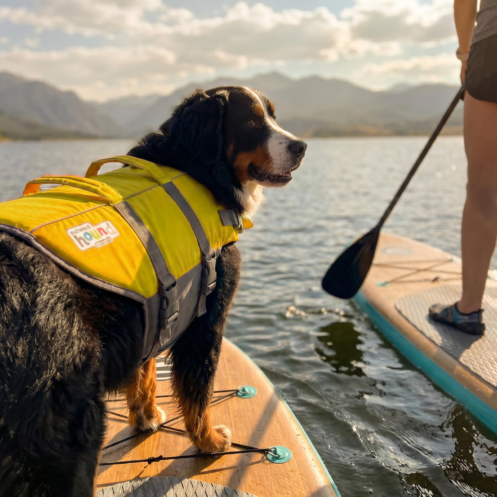Outward Hound sangles et boucles réglables facilitant installation rapide