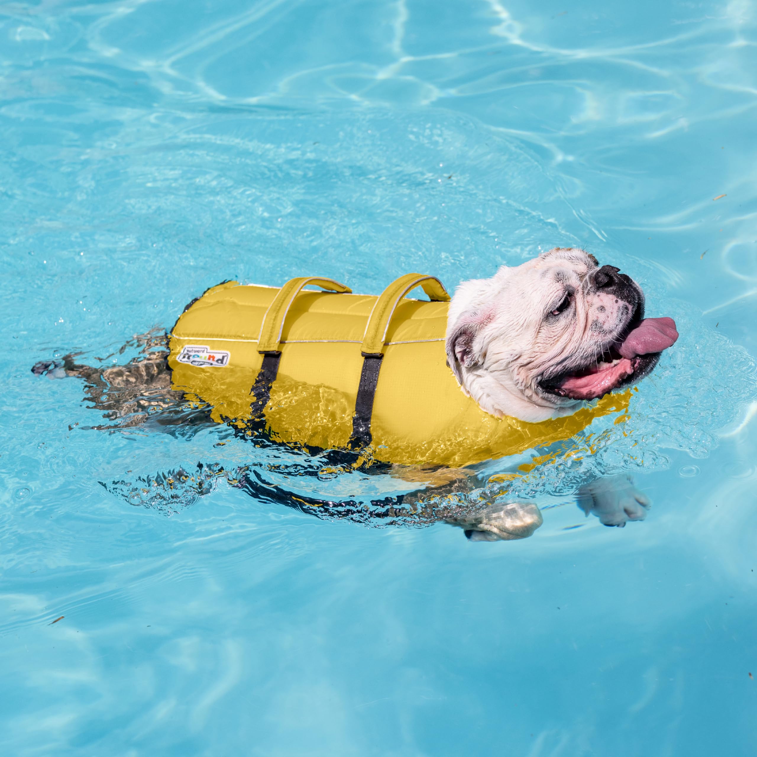 Outward Hound chien portant gilet dans l'eau pour sécurité active
