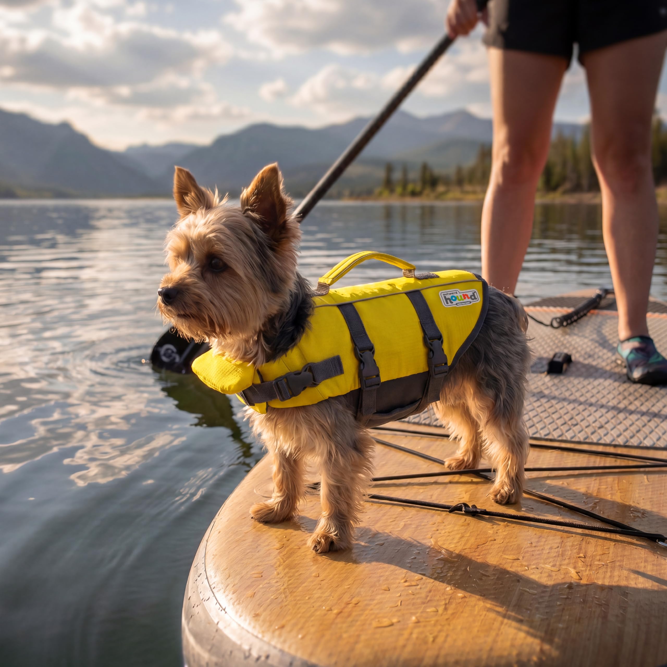 Outward Hound comparaison taille X-Small montrant proportions du gilet