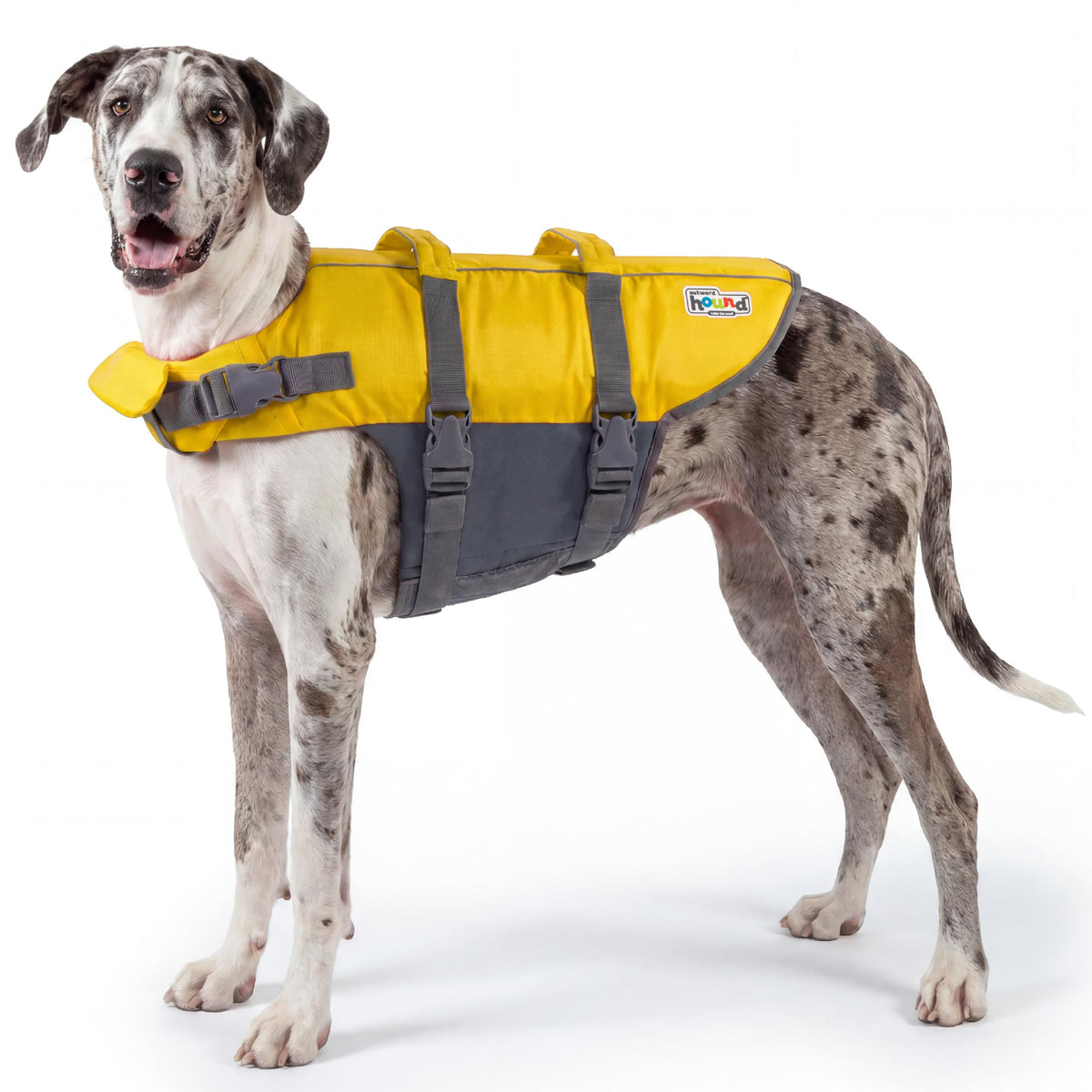 Outward Hound frontal jaune montrant ajustement sécurisé et visibilité