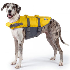 Outward Hound frontal jaune montrant ajustement sécurisé et visibilité