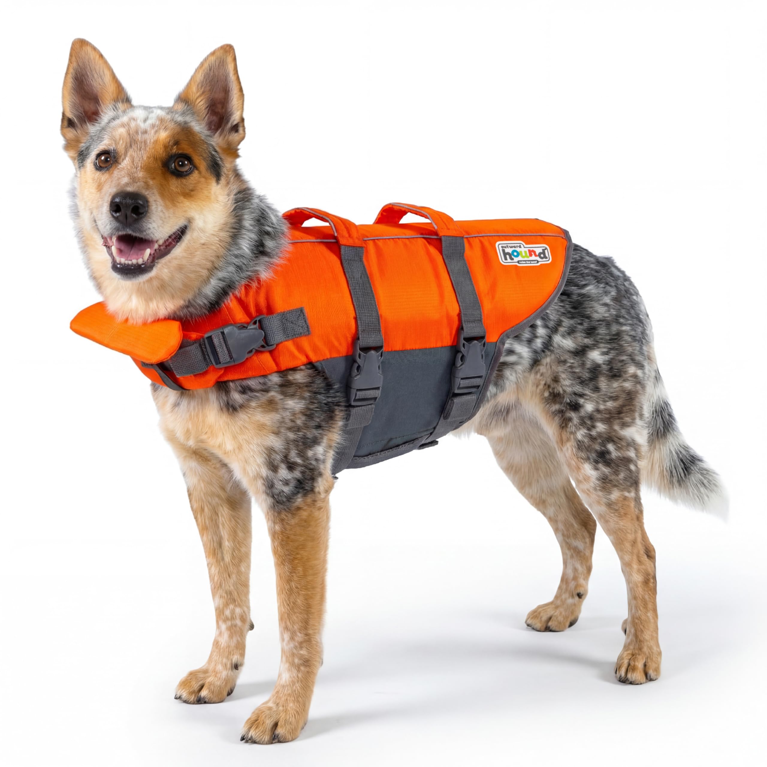 Outward Hound vue avant du gilet orange, visibilité accrue