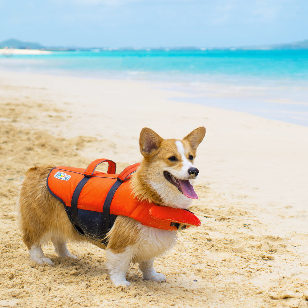 Outward Hound Granby Splash gilet posé prêt à l’emploi et facile à ranger