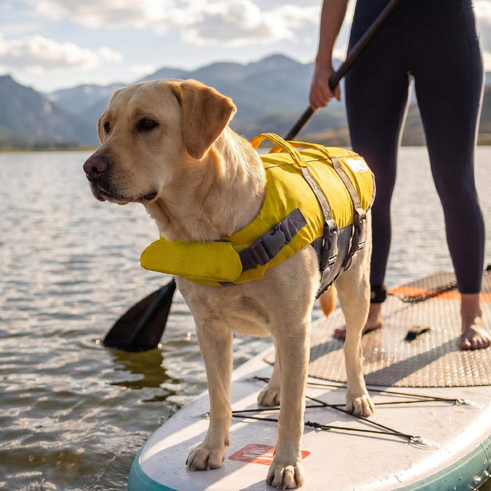 Outward Hound bandes réfléchissantes améliorant visibilité et sécurité