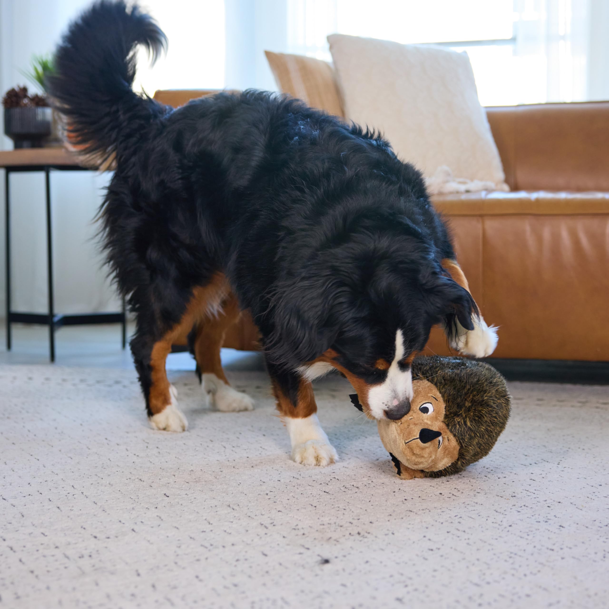 Outward Hound hedgehogz en situation ludique avec chien, favorise interaction et jeu