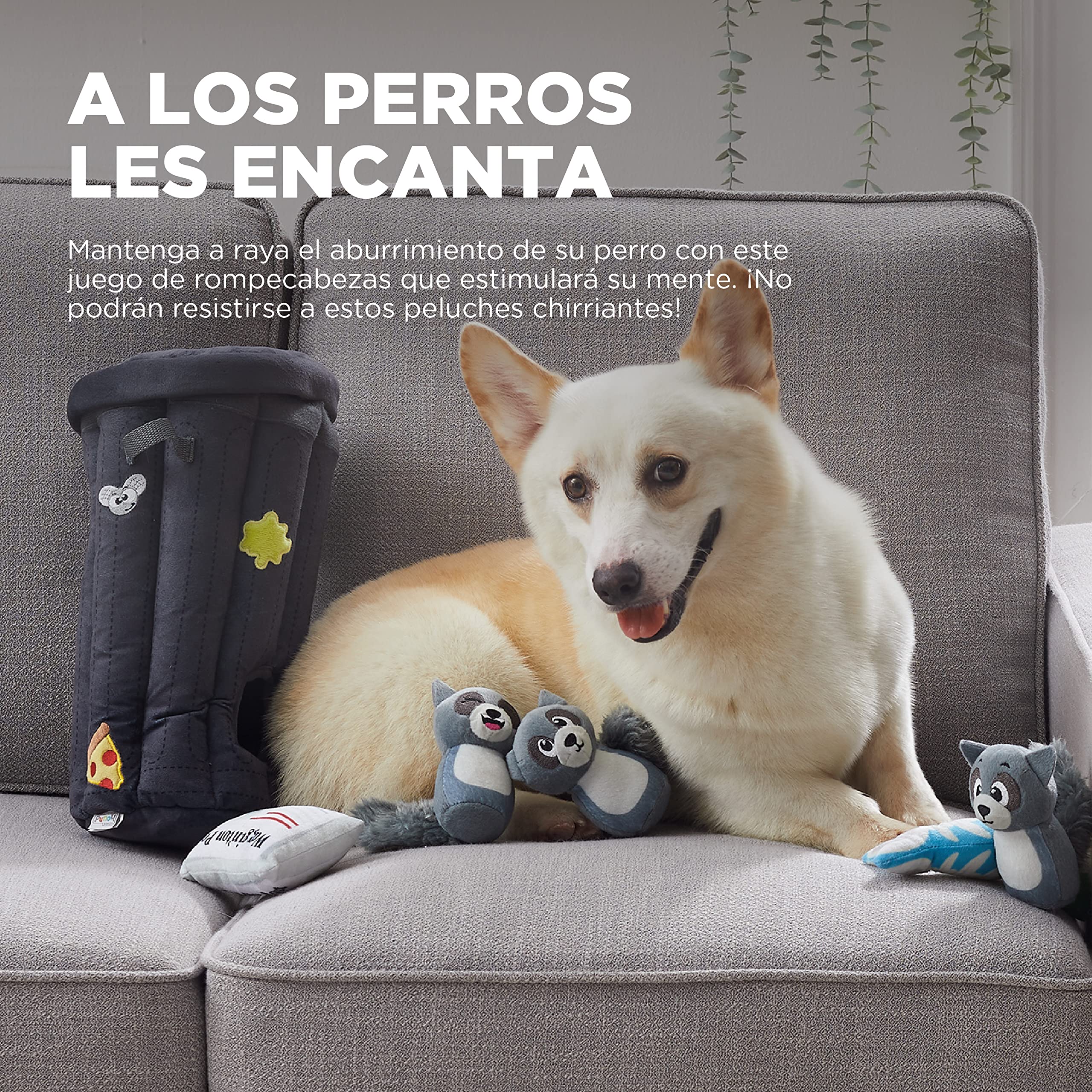 Outward Hound trois ratons laveurs en peluche montrant textures et couineurs